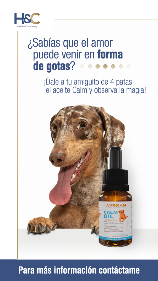 Aceite de Cáñamo para Mascotas