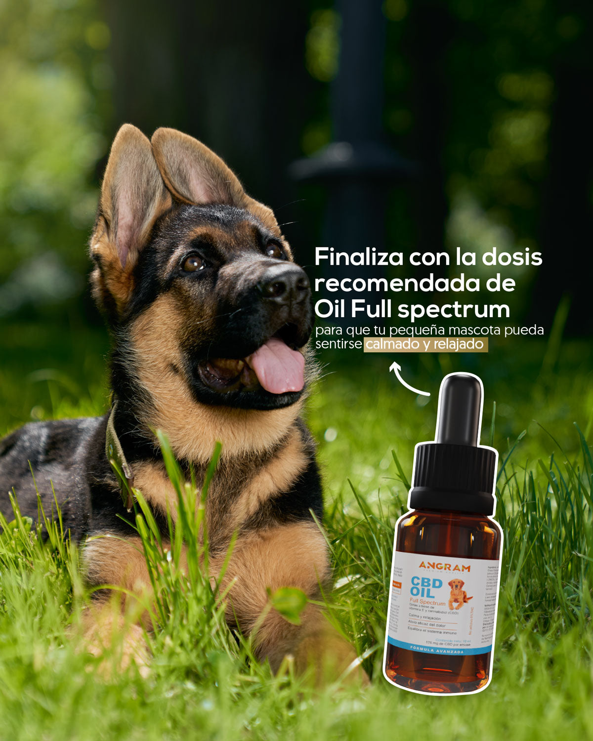 Aceite de Cáñamo para Mascotas