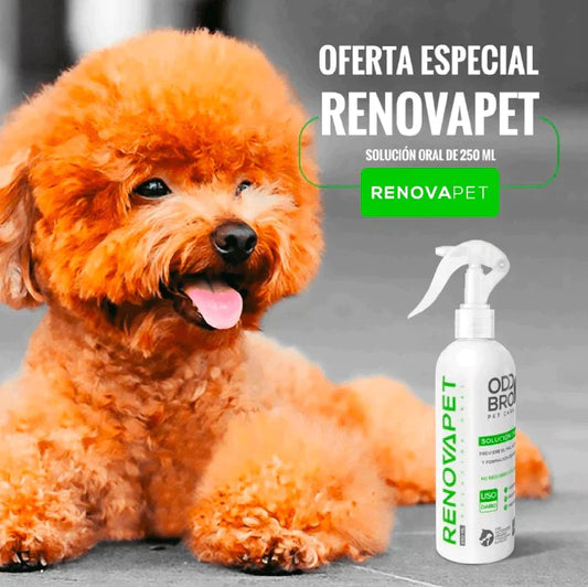 RenovaPet Oral Adiós Al Sarro